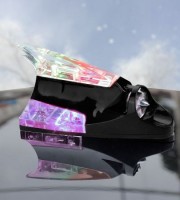 Black Car Wind Signal Light